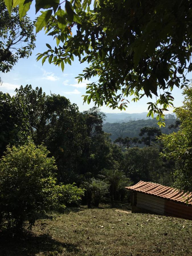 Fazenda à venda com 2 quartos, 1890m² - Foto 4