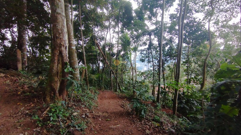 Terreno à venda, 487m² - Foto 9