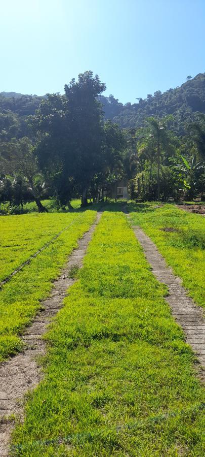 Fazenda à venda com 2 quartos, 18000m² - Foto 11