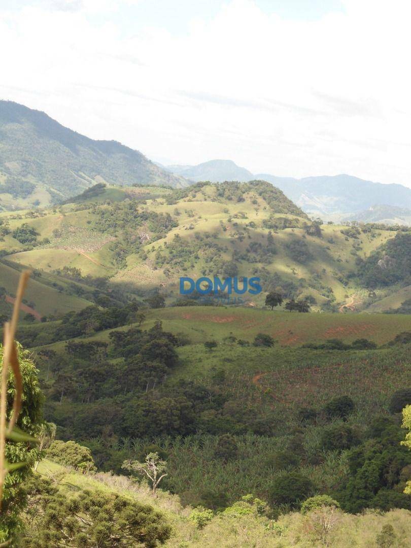 Terreno à venda, 24000M2 - Foto 14