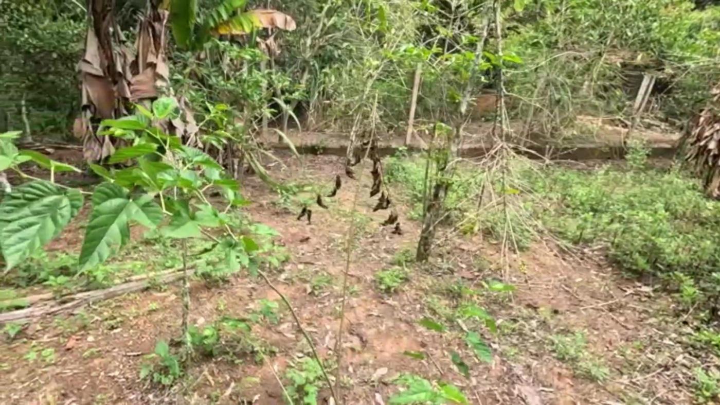 Chácara à venda com 3 quartos, 1000m² - Foto 27