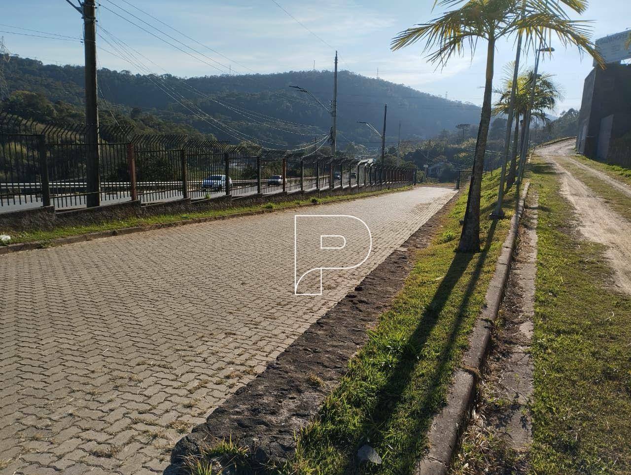 Depósito-Galpão, 2000 m² - Foto 4