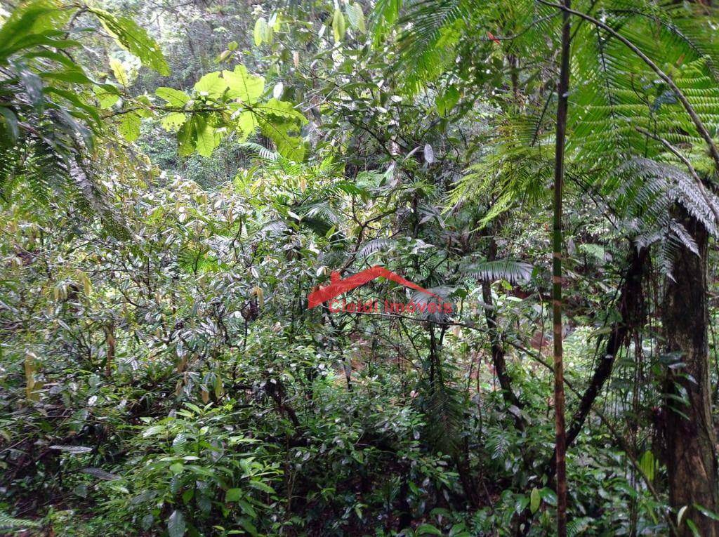 Loteamento e Condomínio à venda, 25000M2 - Foto 10