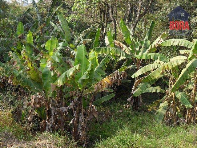 Chácara à venda com 4 quartos, 7000M2 - Foto 14