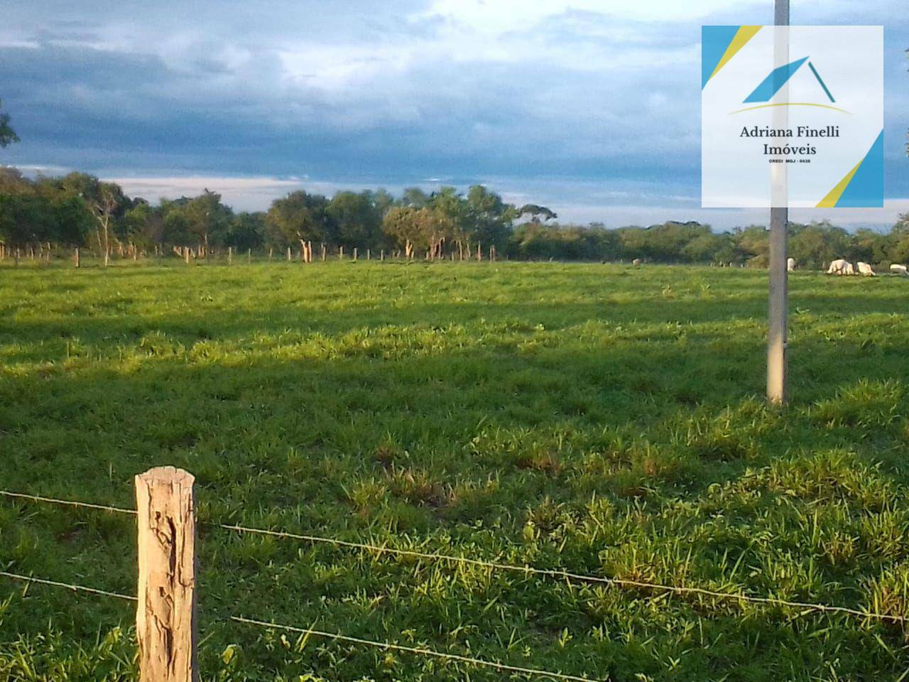 Fazenda à venda, 1384500M2 - Foto 5