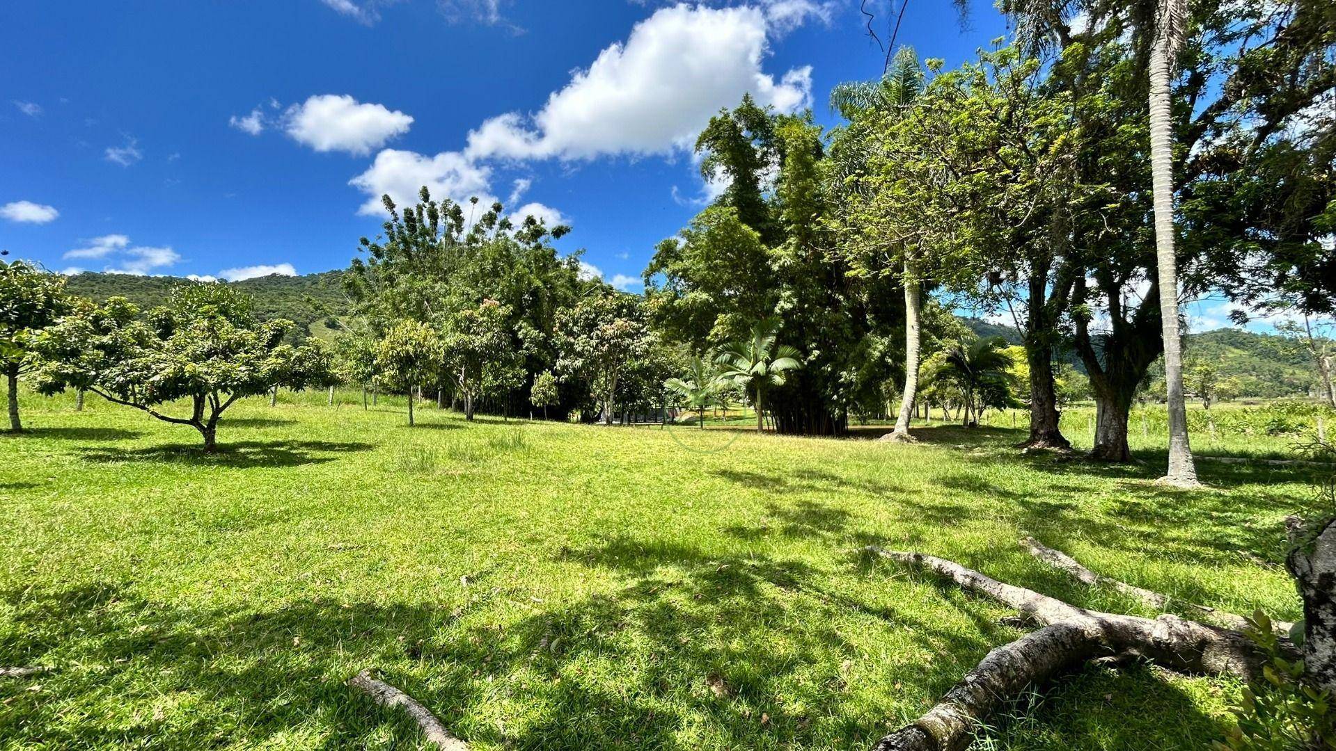 Chácara, 2 hectares - Foto 23