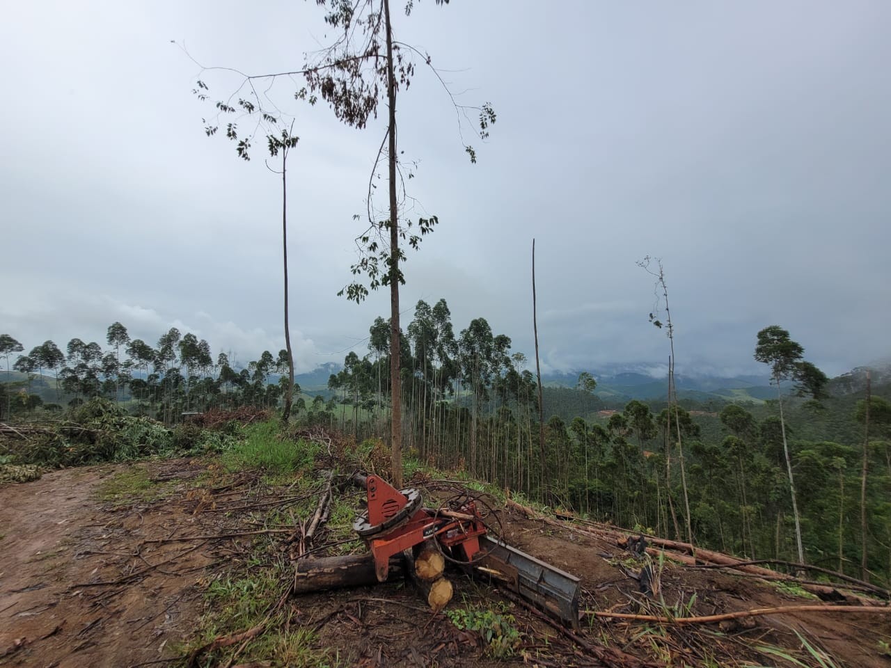 Terreno, 3 hectares - Foto 10