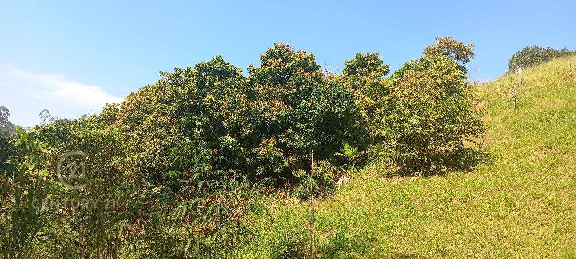 Chácara, 3 quartos, 7388 m² - Foto 1