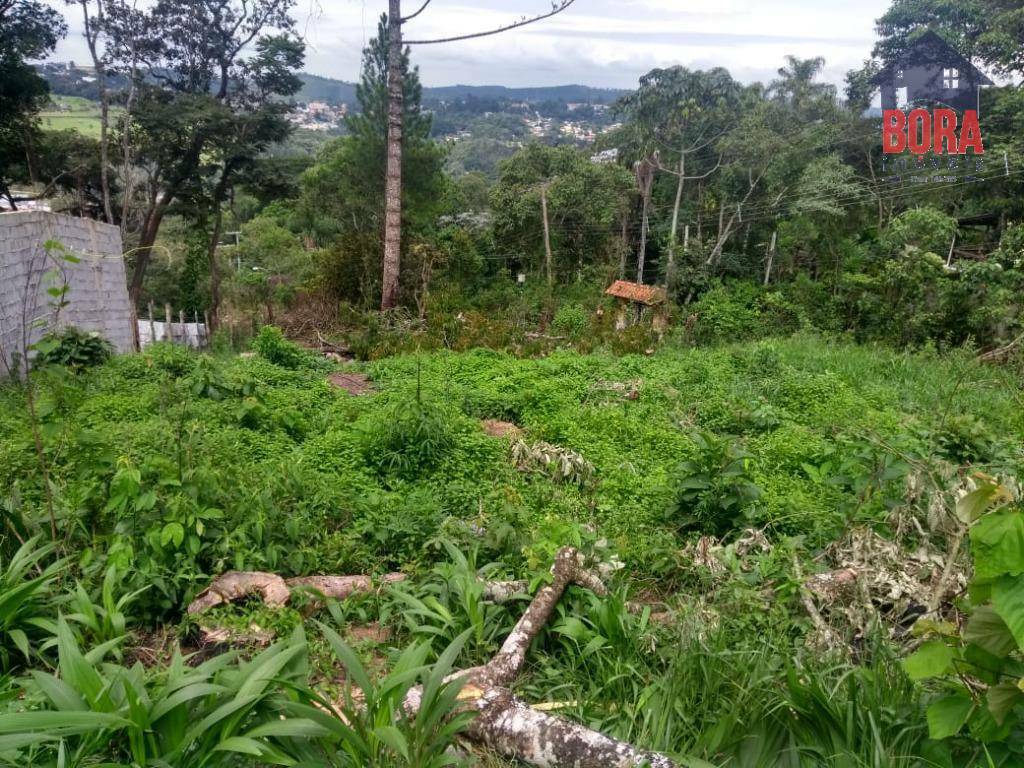 Terreno à venda, 600M2 - Foto 5