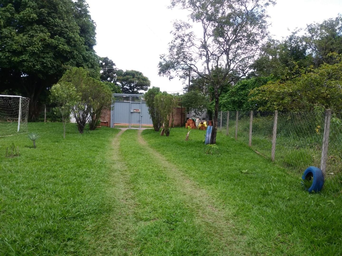 Fazenda à venda com 4 quartos, 5000m² - Foto 8