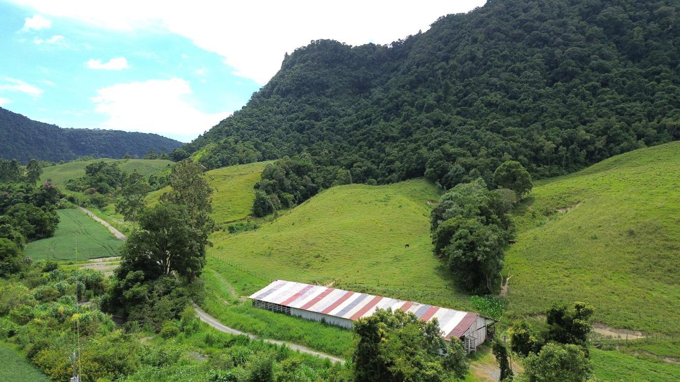 Fazenda à venda com 5 quartos, 450000m² - Foto 9
