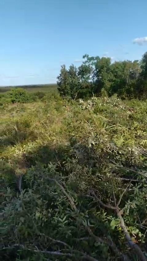 Fazenda à venda com 1 quarto, 17800000M2 - Foto 12