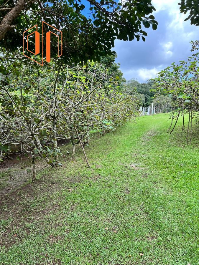 Fazenda à venda, 22000m² - Foto 8