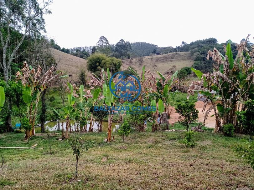 Fazenda à venda com 2 quartos, 4000m² - Foto 6