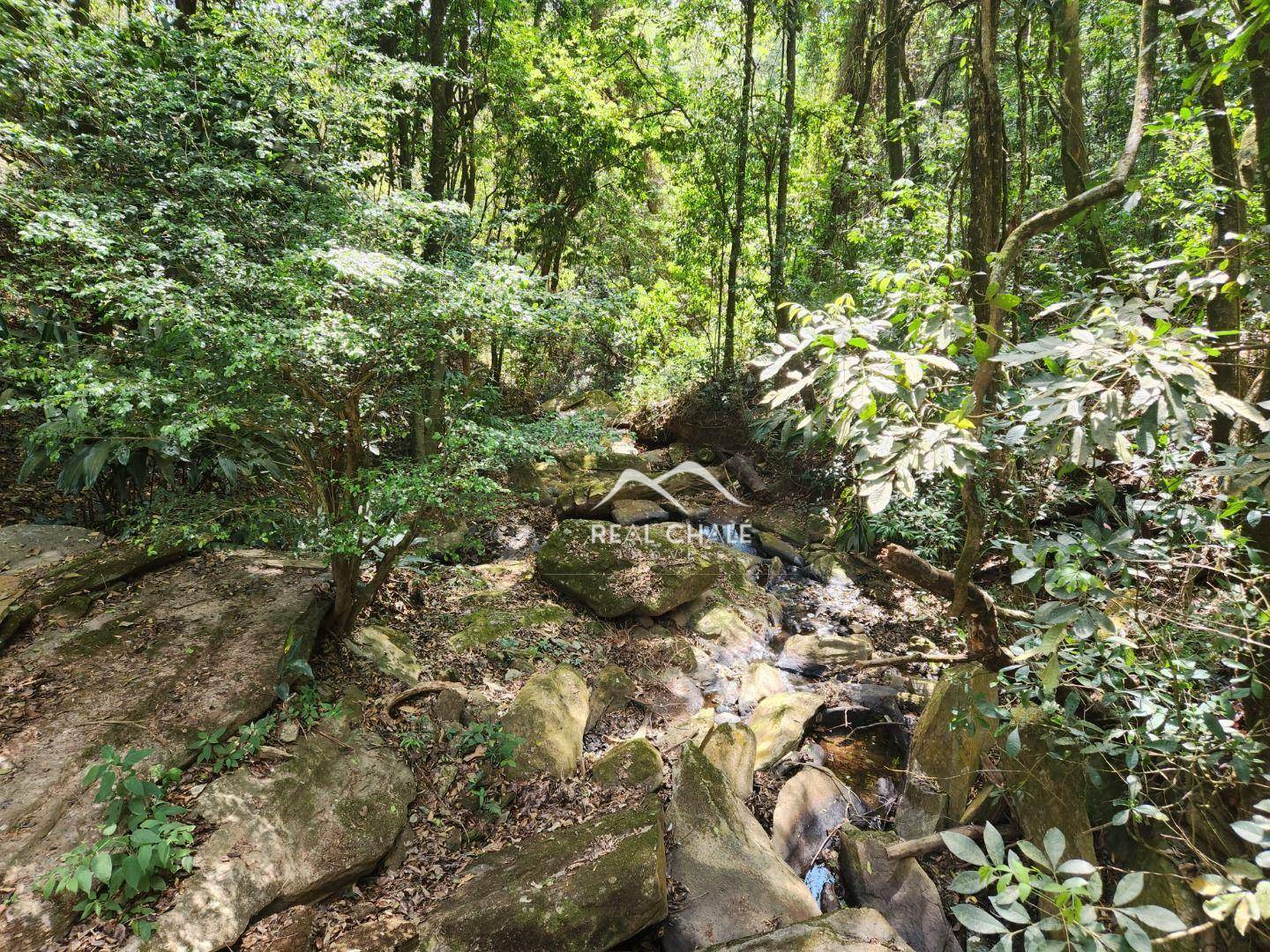 Casa de Condomínio à venda com 3 quartos, 3000M2 - Foto 4