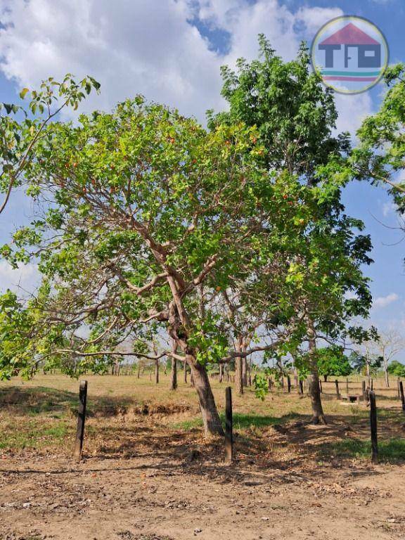 Fazenda à venda, 968000M2 - Foto 8