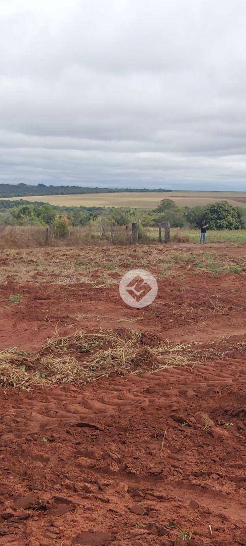 Fazenda à venda, 2500000M2 - Foto 7