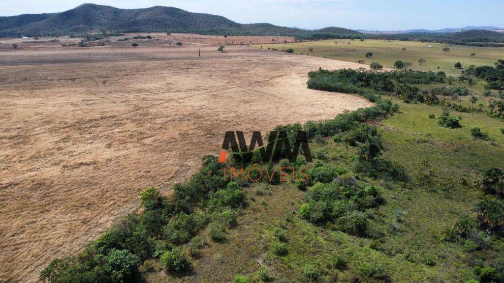 Fazenda à venda, 22118800M2 - Foto 10