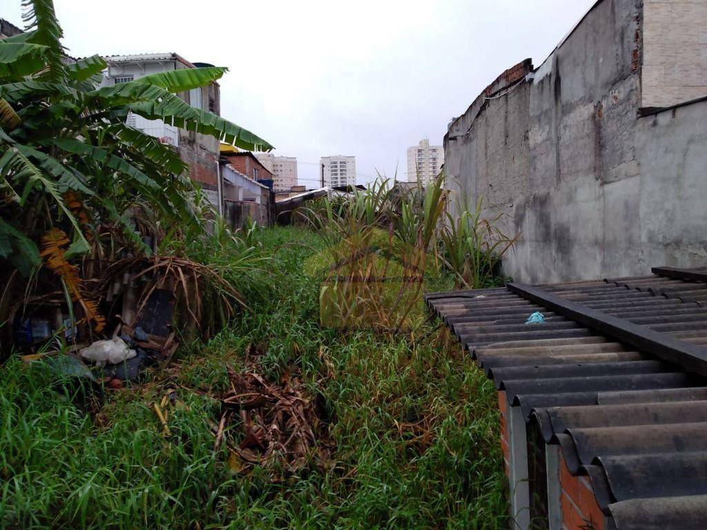 Terreno à venda, 350M2 - Foto 3