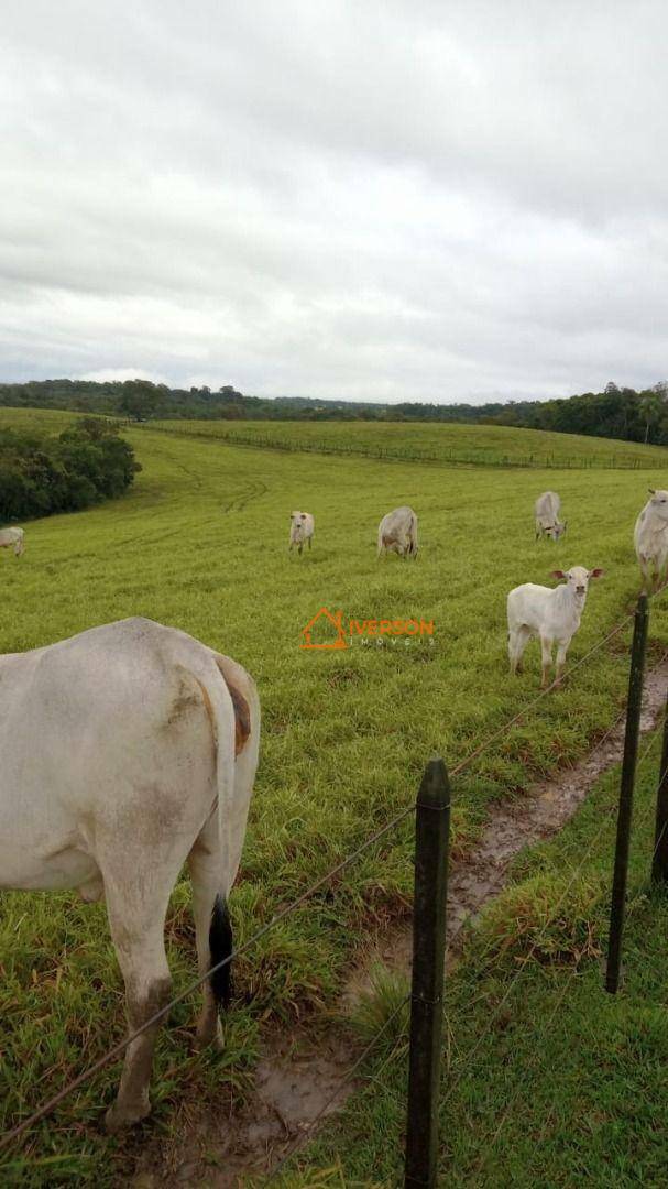 Fazenda à venda com 2 quartos, 2662000M2 - Foto 5