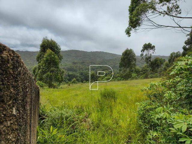 Terreno, 27 hectares - Foto 3