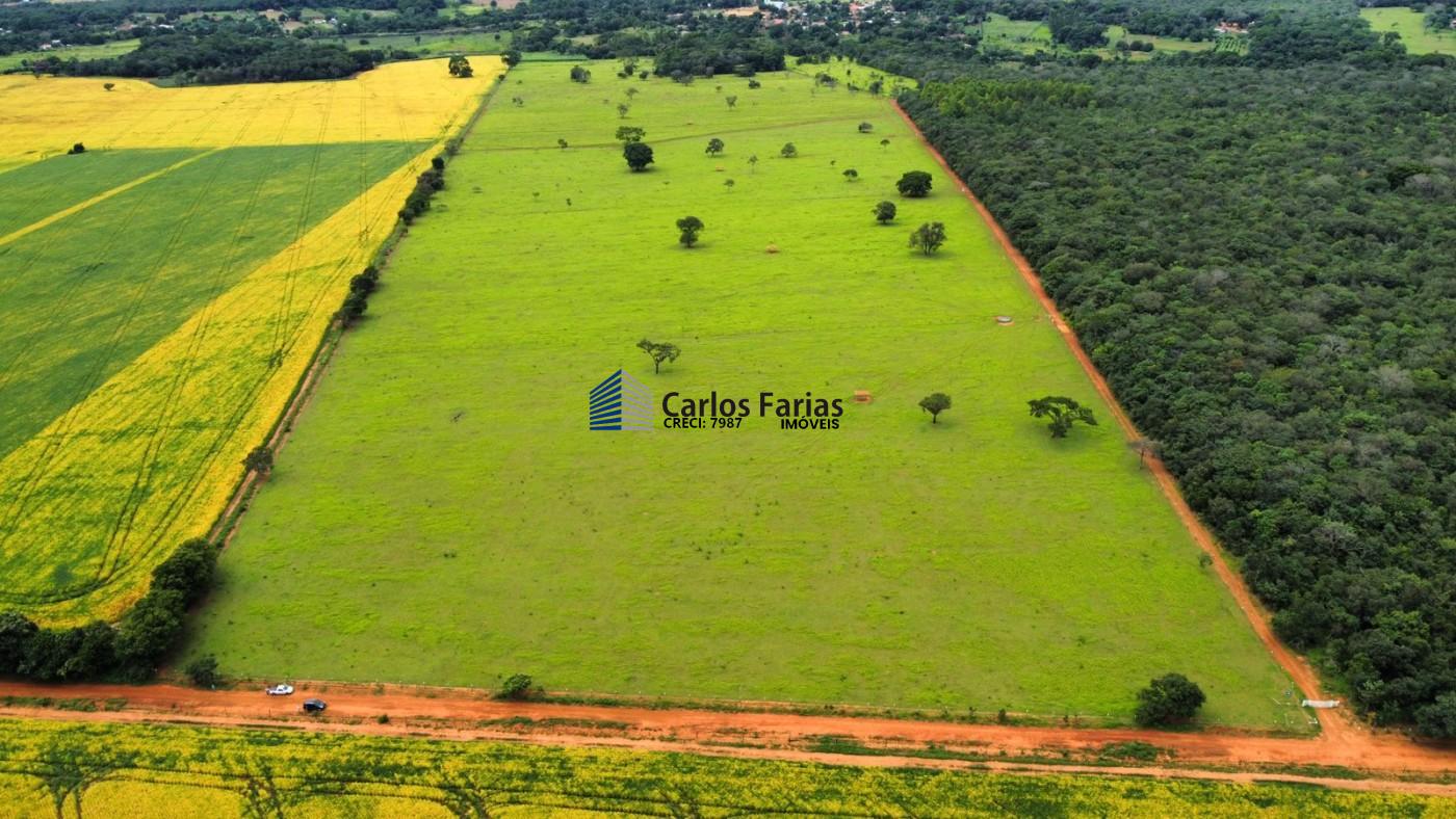 Fazenda à venda com 3 quartos, 230m² - Foto 28