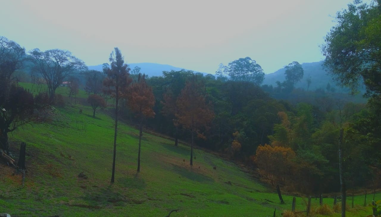 Sítio, 2 quartos, 5 hectares - Foto 8