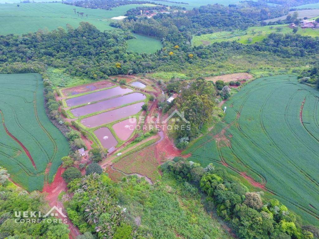 Fazenda à venda, 774400M2 - Foto 7