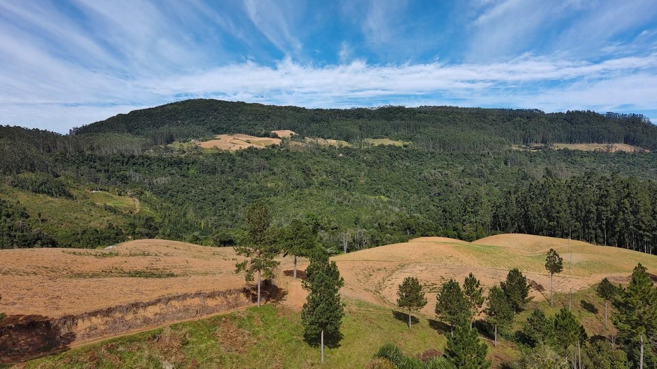 Fazenda à venda com 3 quartos, 260000m² - Foto 31