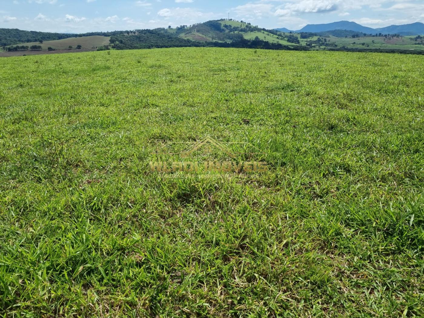 Fazenda à venda, 150m² - Foto 21