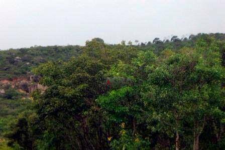 Fazenda à venda, 6090000M2 - Foto 17