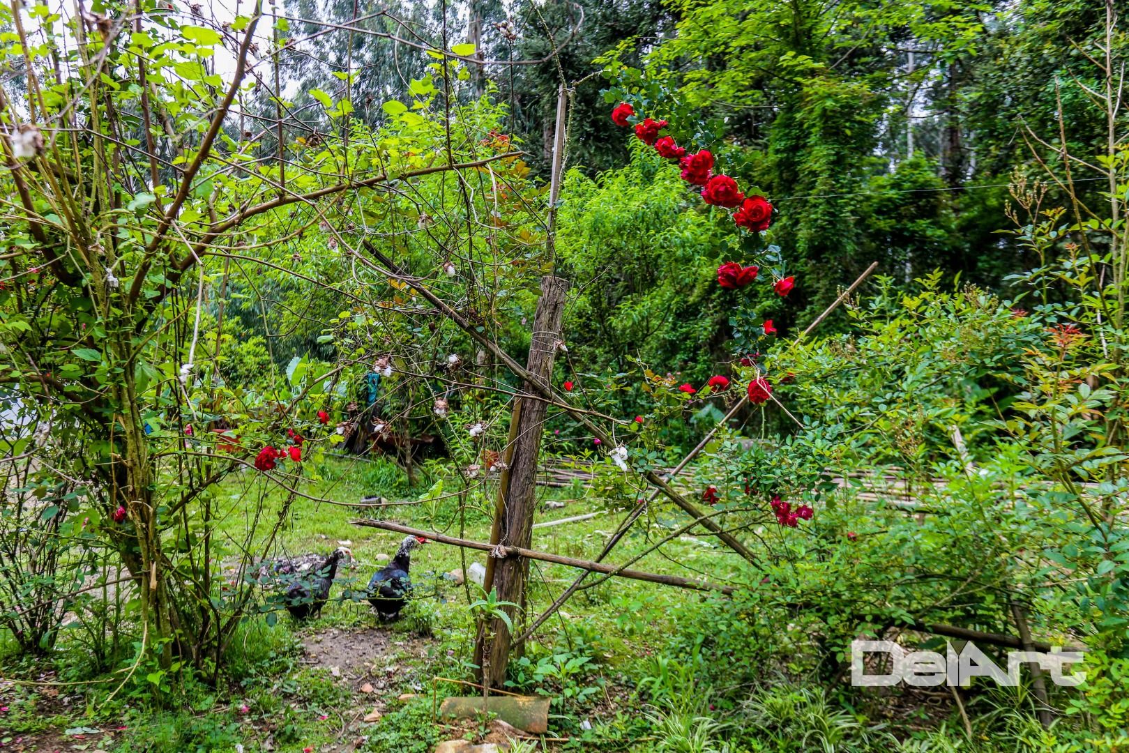 Chácara à venda com 7 quartos, 36600M2 - Foto 66