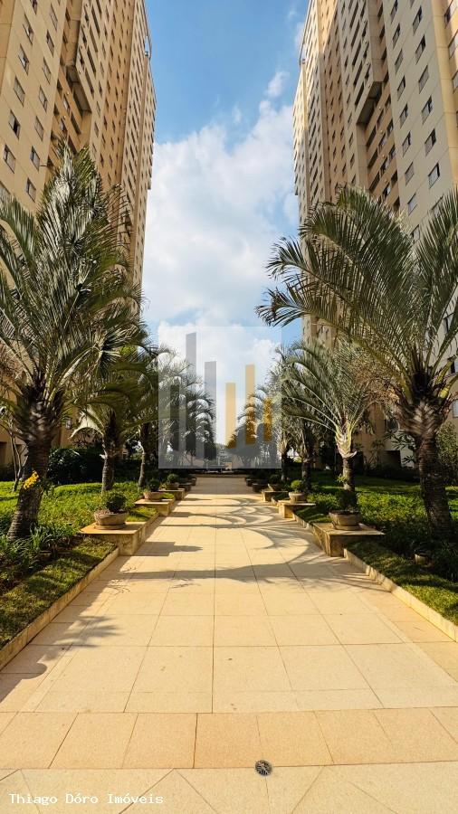 Apartamento à venda com 2 quartos, 58m² - Foto 26