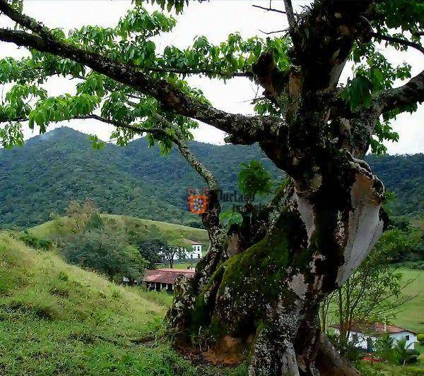 Fazenda à venda com 5 quartos, 1331000M2 - Foto 83