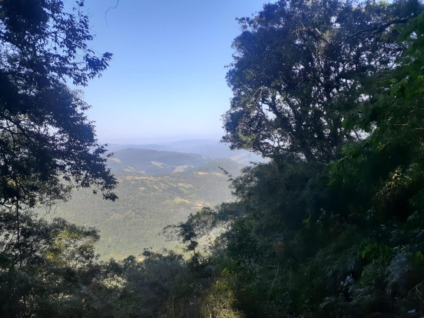 Terreno à venda, 2632m² - Foto 8