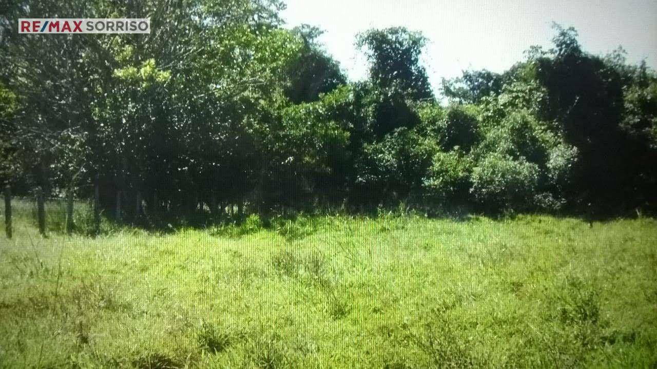 Fazenda à venda com 4 quartos, 242000M2 - Foto 10