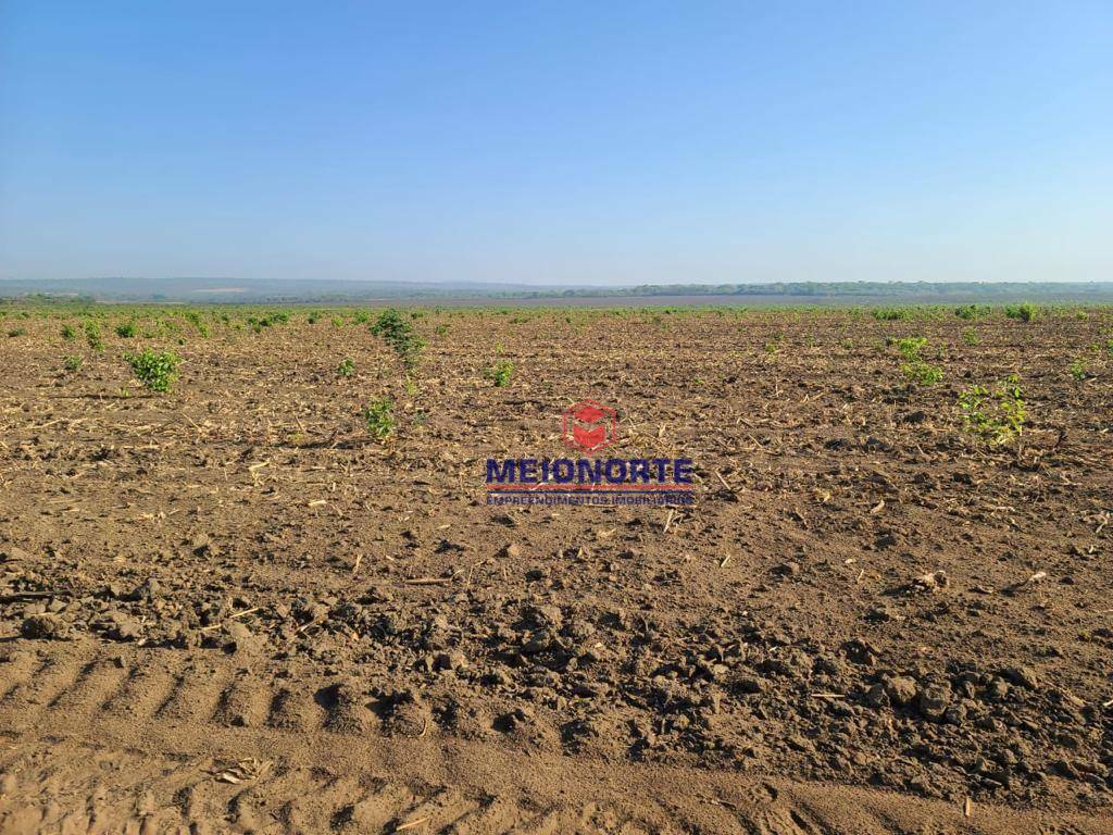 Fazenda à venda com 1 quarto, 12390000M2 - Foto 4