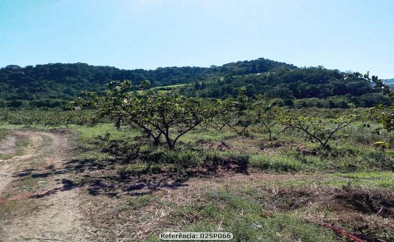 Fazenda à venda com 4 quartos, 120000m² - Foto 15