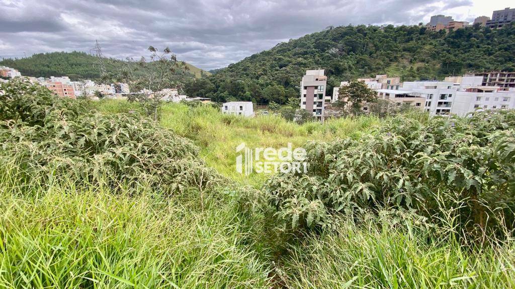 Terreno à venda, 360M2 - Foto 7