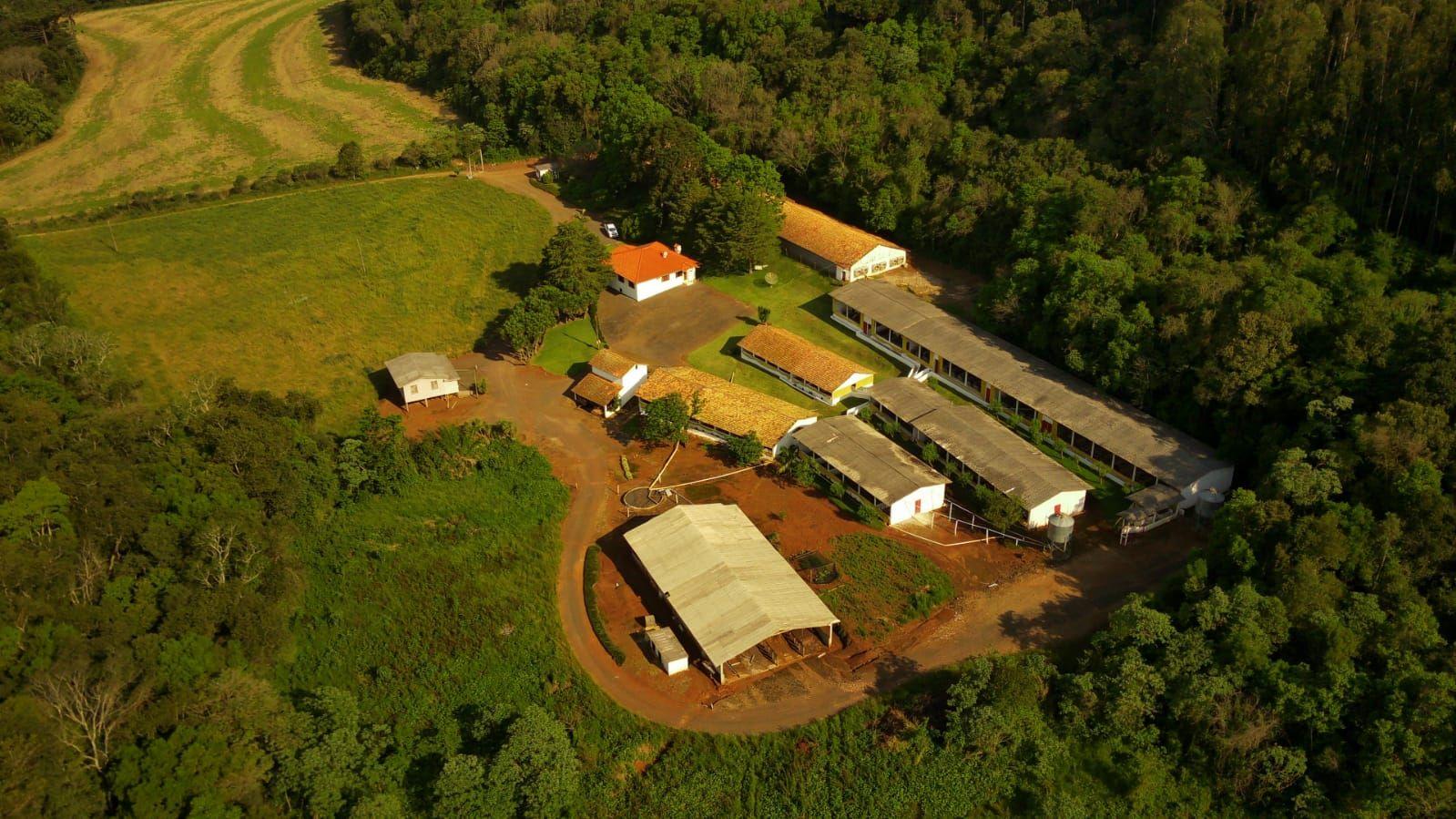 Fazenda à venda, 172000m² - Foto 8