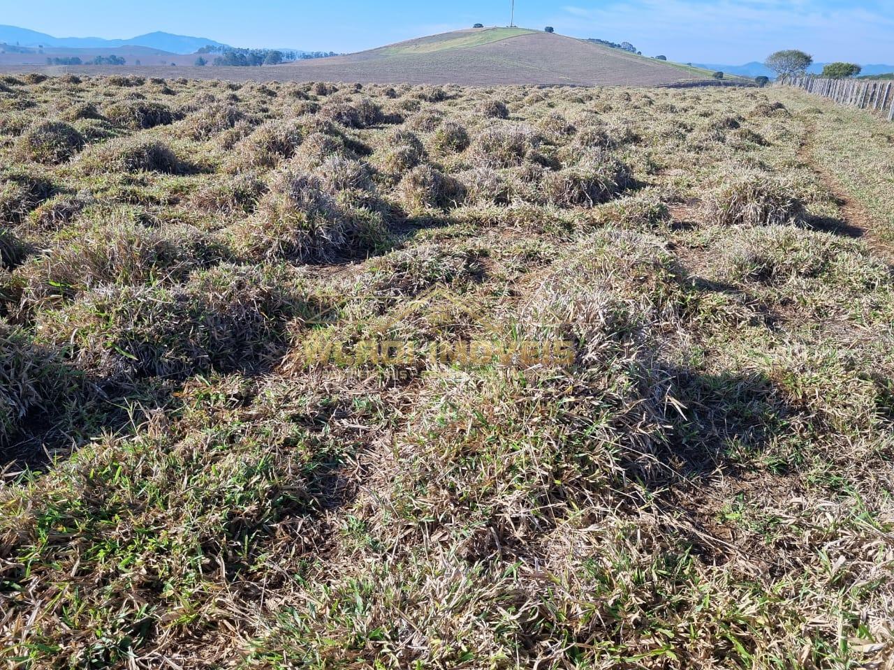 Fazenda à venda, 209m² - Foto 11