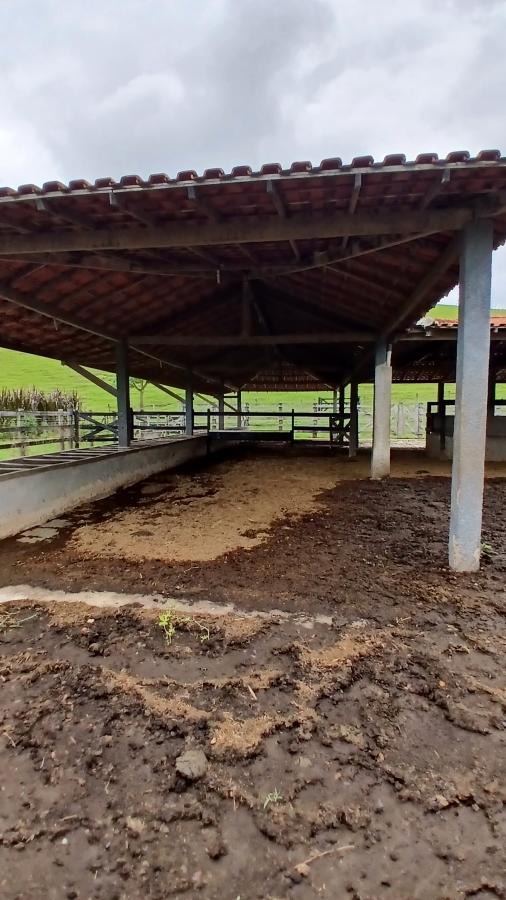 Fazenda à venda com 4 quartos, 19m² - Foto 10