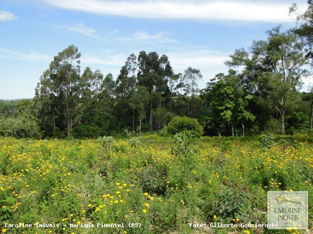 Loteamento e Condomínio à venda, 320000m² - Foto 3