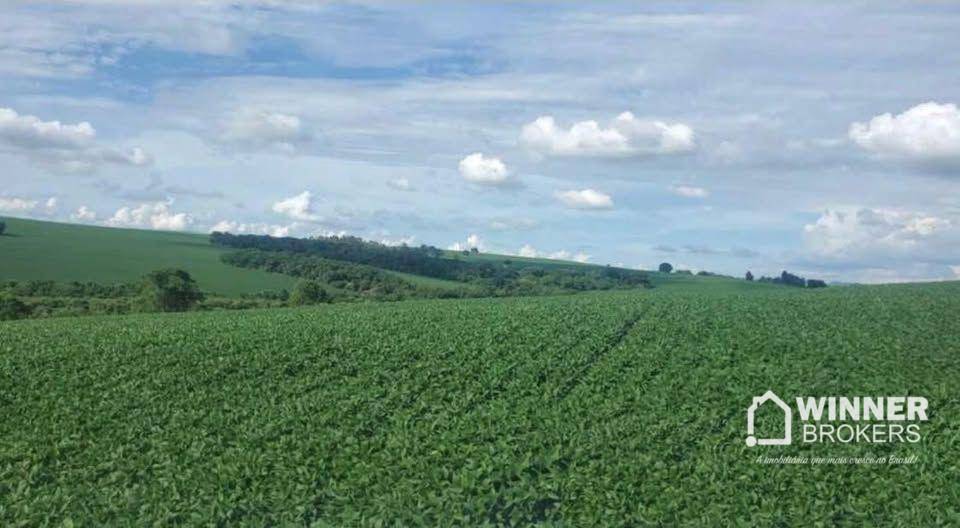 Chácara, 3 hectares - Foto 3