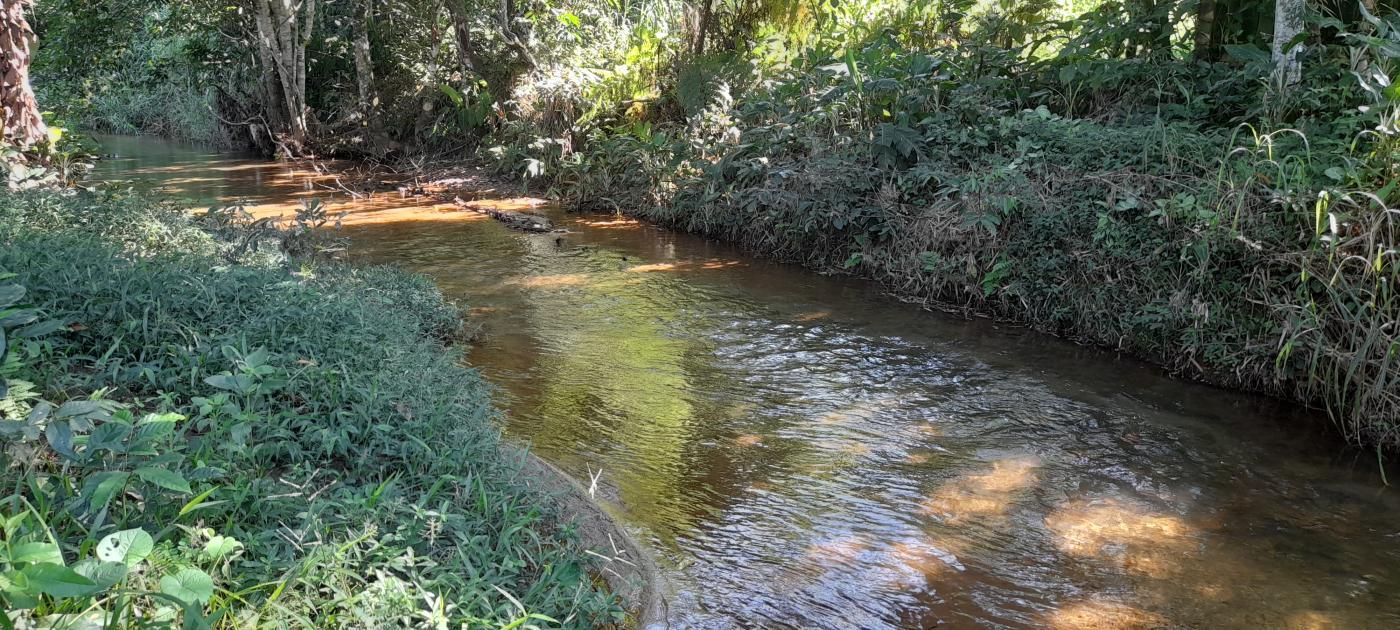 Fazenda à venda com 2 quartos, 18000m² - Foto 1