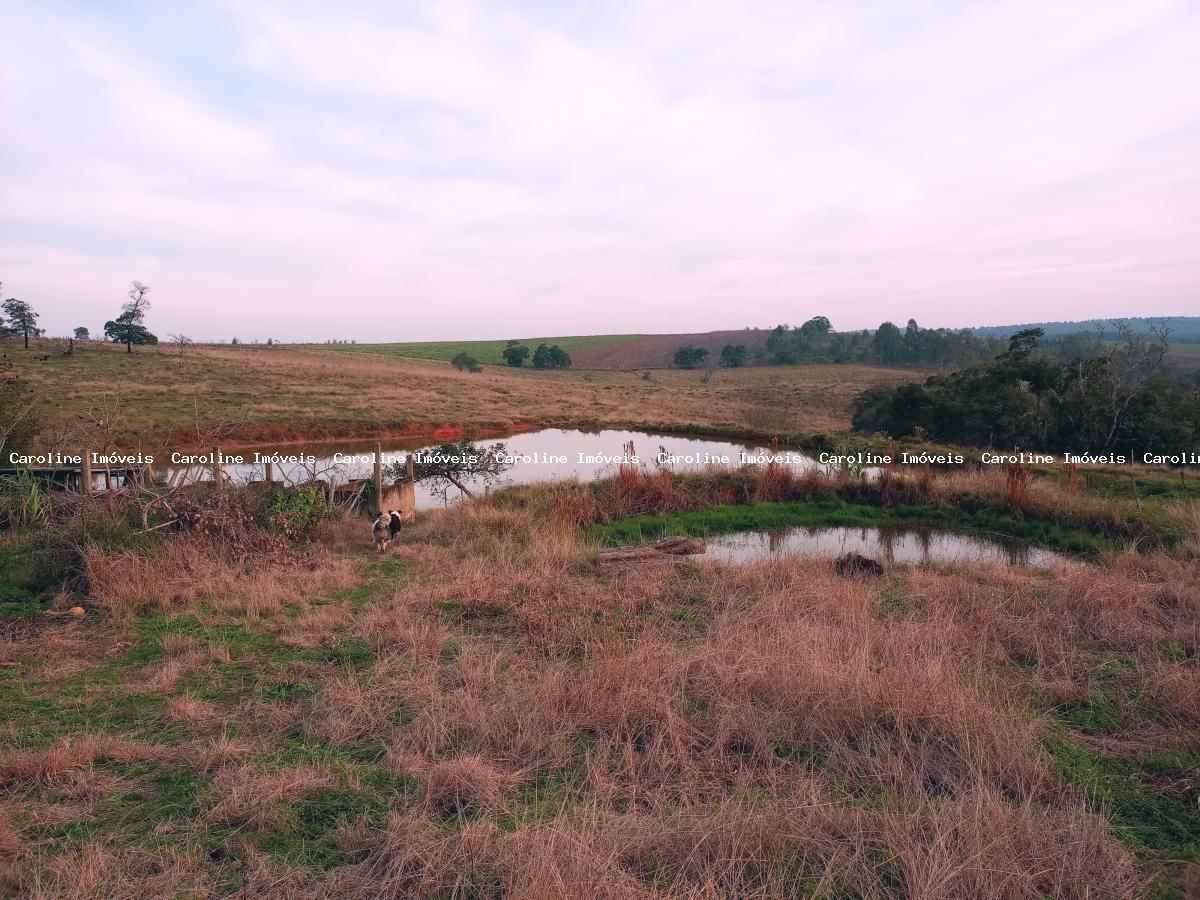 Fazenda à venda com 3 quartos, 23m² - Foto 5