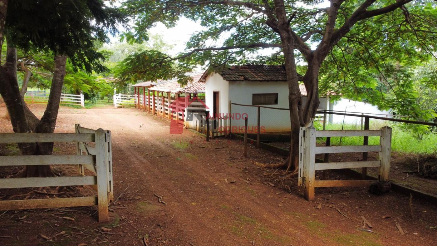 Fazenda-Sítio-Chácara, 50 m² - Foto 6