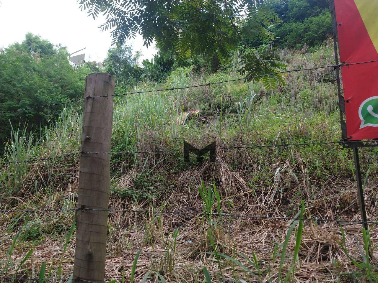 Terreno à venda, 450M2 - Foto 5