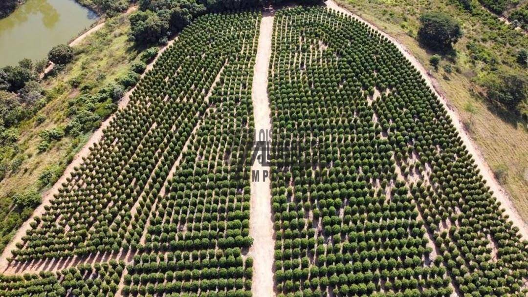 Fazenda à venda, 2420000M2 - Foto 17