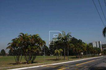 Terreno, 3 hectares - Foto 2